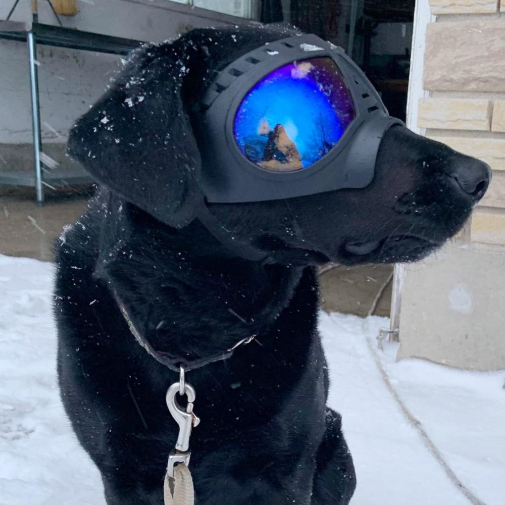 NAMSAN Clear Dog Goggles compatible with large breeds for comfortable wear