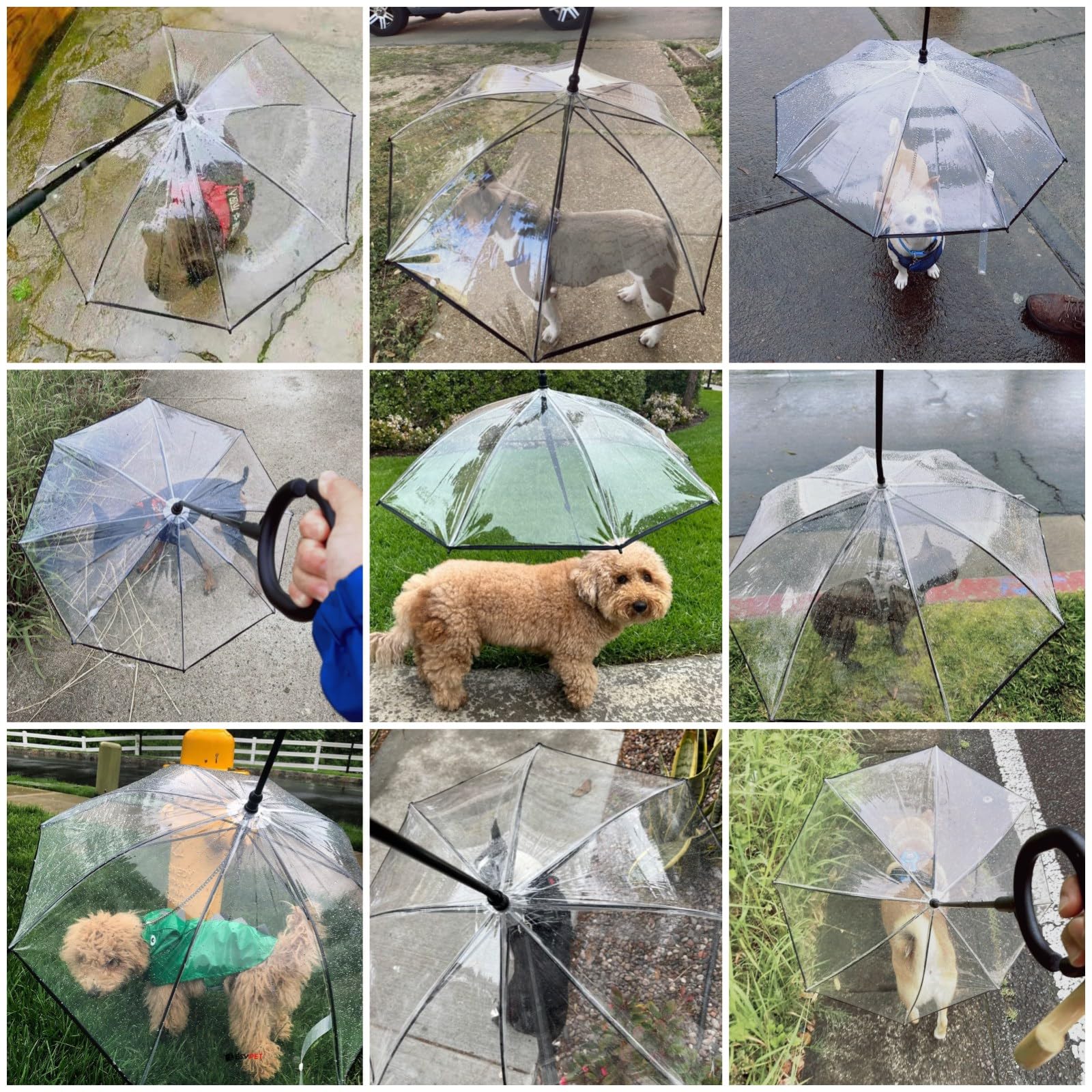 NAMSAN clear dog umbrella's transparent canopy lets dogs see surroundings during rain