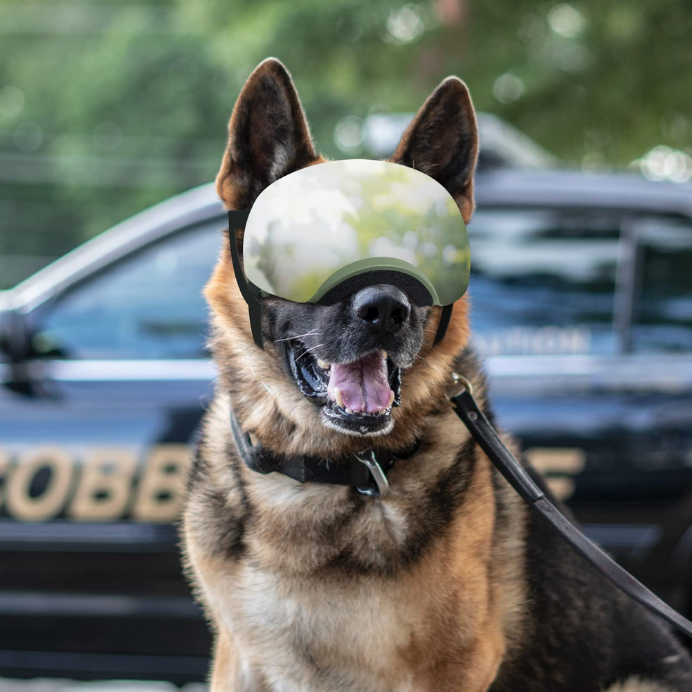 NAMSAN dog goggles adjustable fit ensures secure sizing for varied breeds