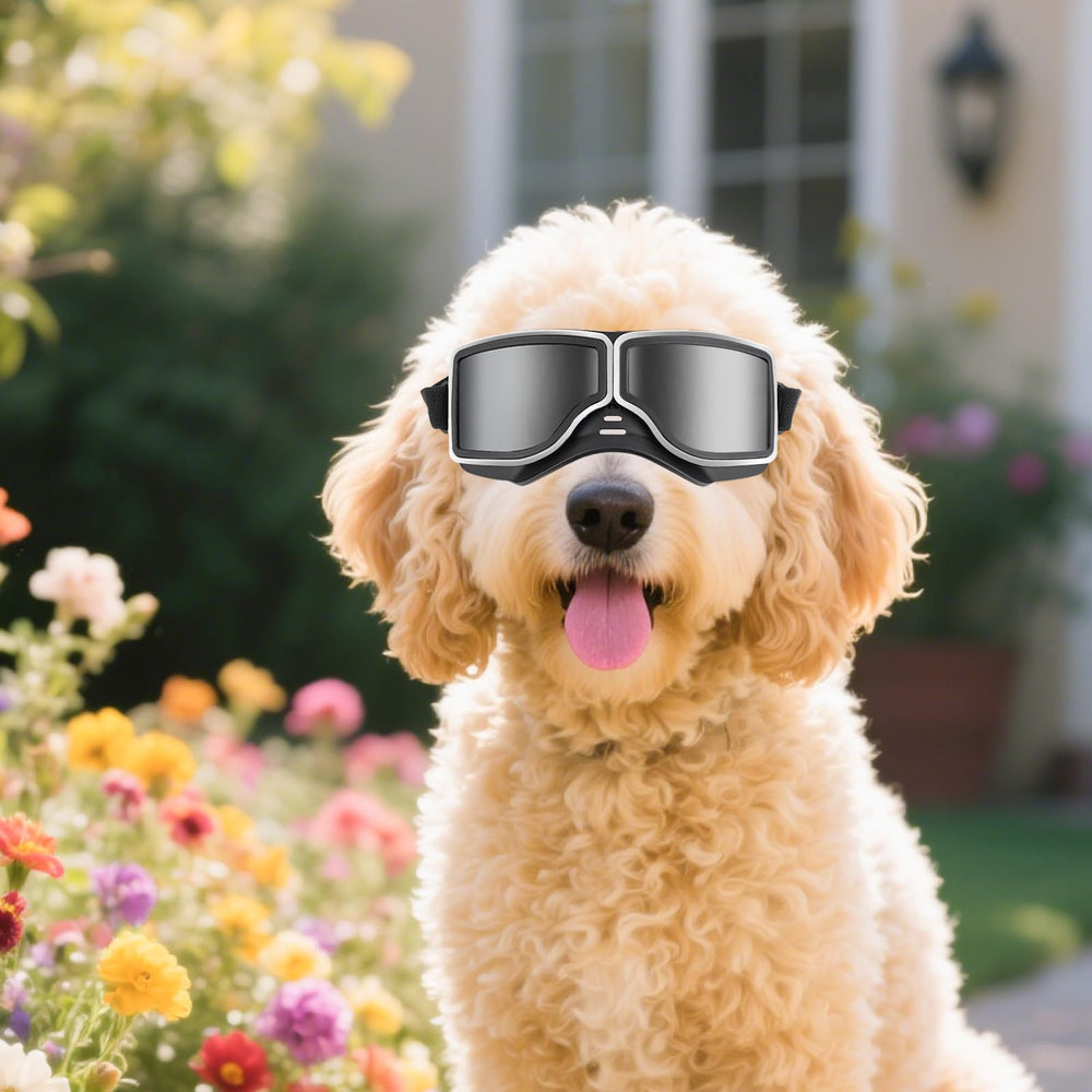 NAMSAN dog goggles adjustable elastic straps ensure a snug, customizable fit.