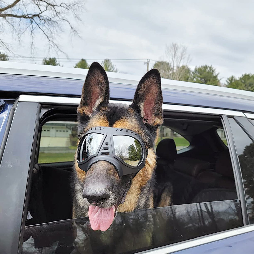NAMSAN dog goggles adjustable straps ensure secure fit.
