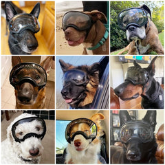 NAMSAN dog goggles adjustable straps ensure a secure fit during play.