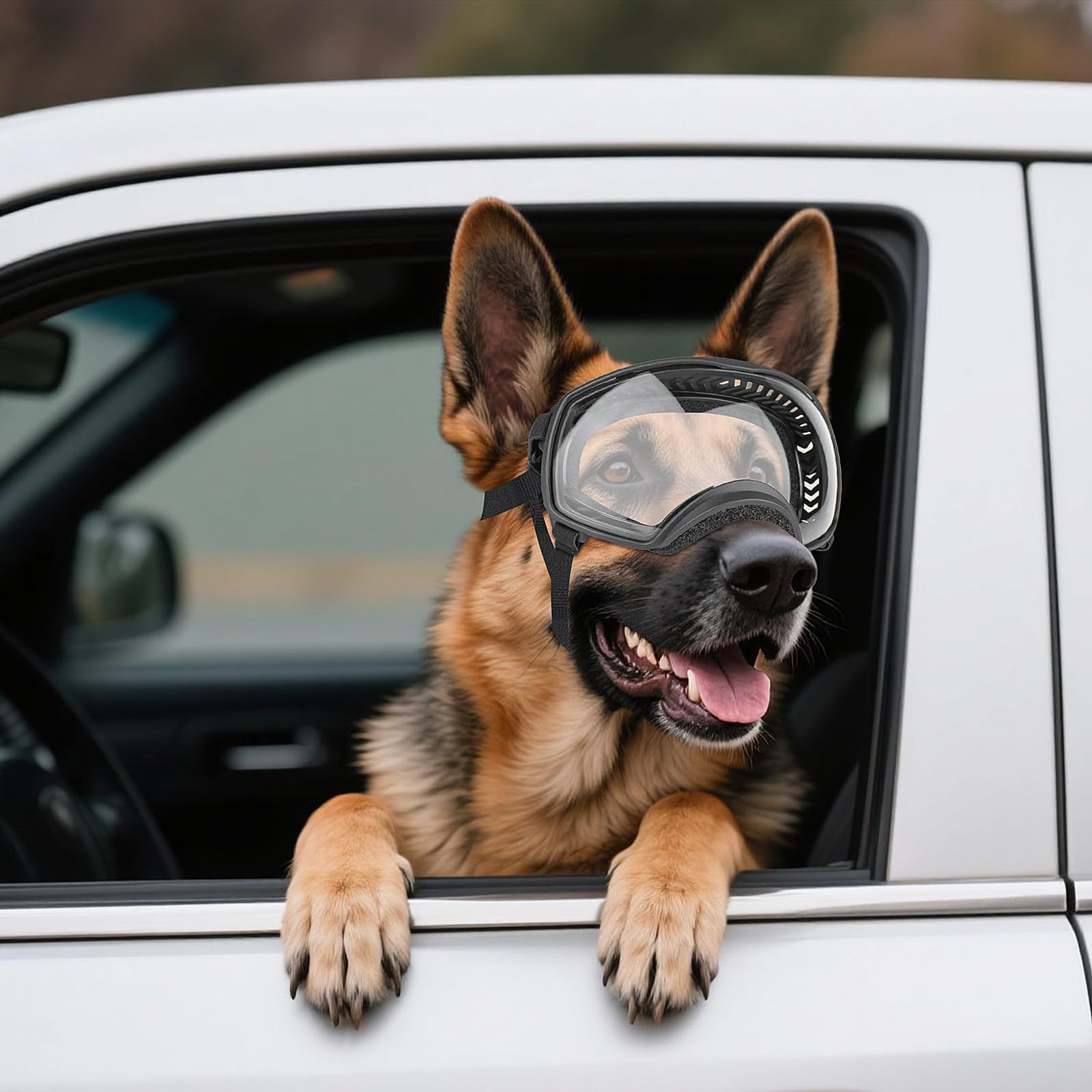 NAMSAN dog goggles act as driving glasses protecting eyes from wind.