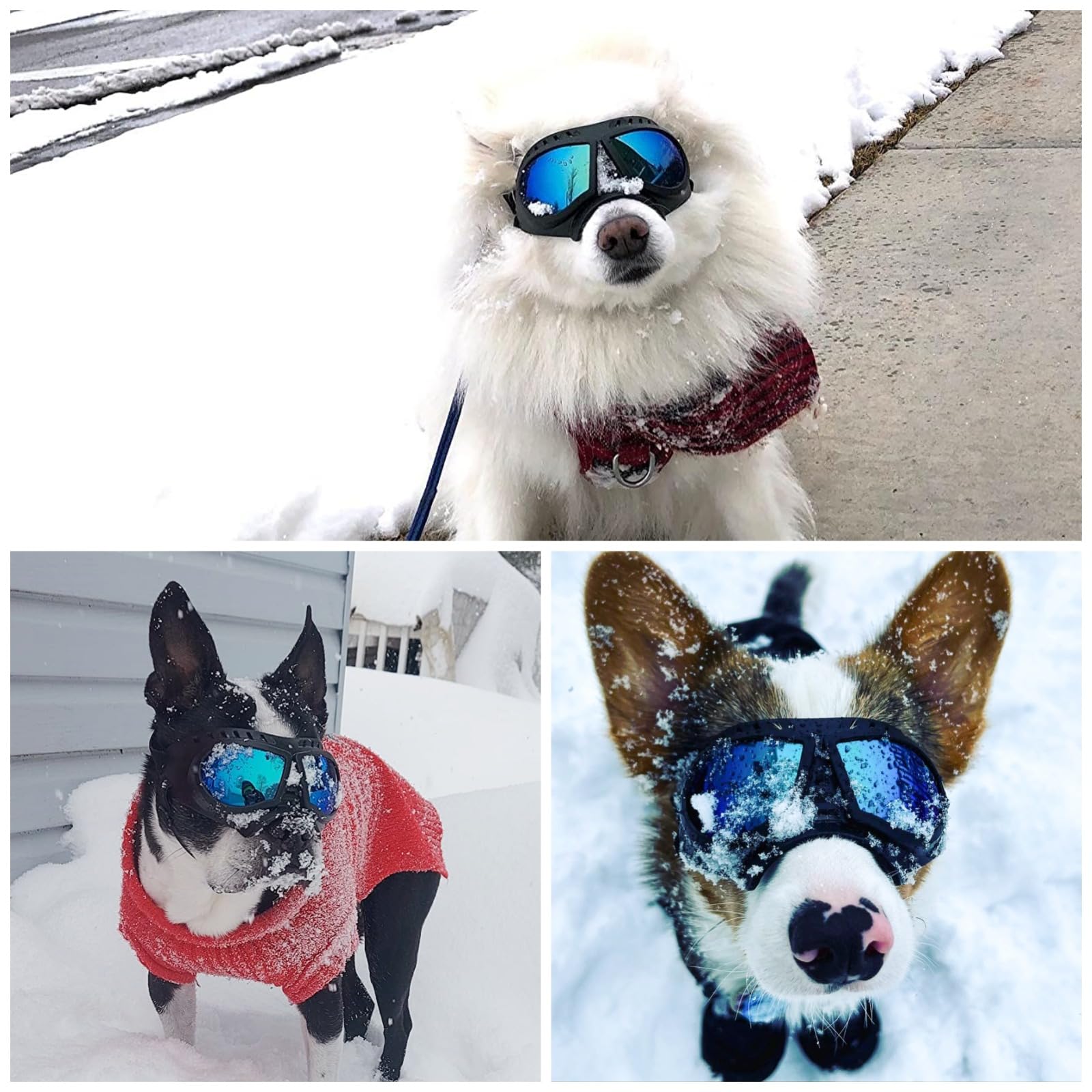 NAMSAN dog goggles sizing guide helps choose the right fit for small to medium breeds