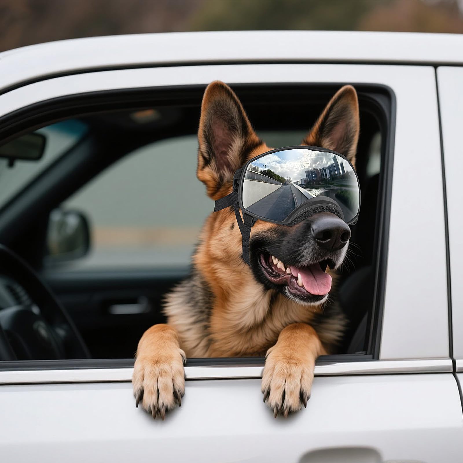 NAMSAN Dog Goggles with soft frame for comfortable wear during outdoor adventures.