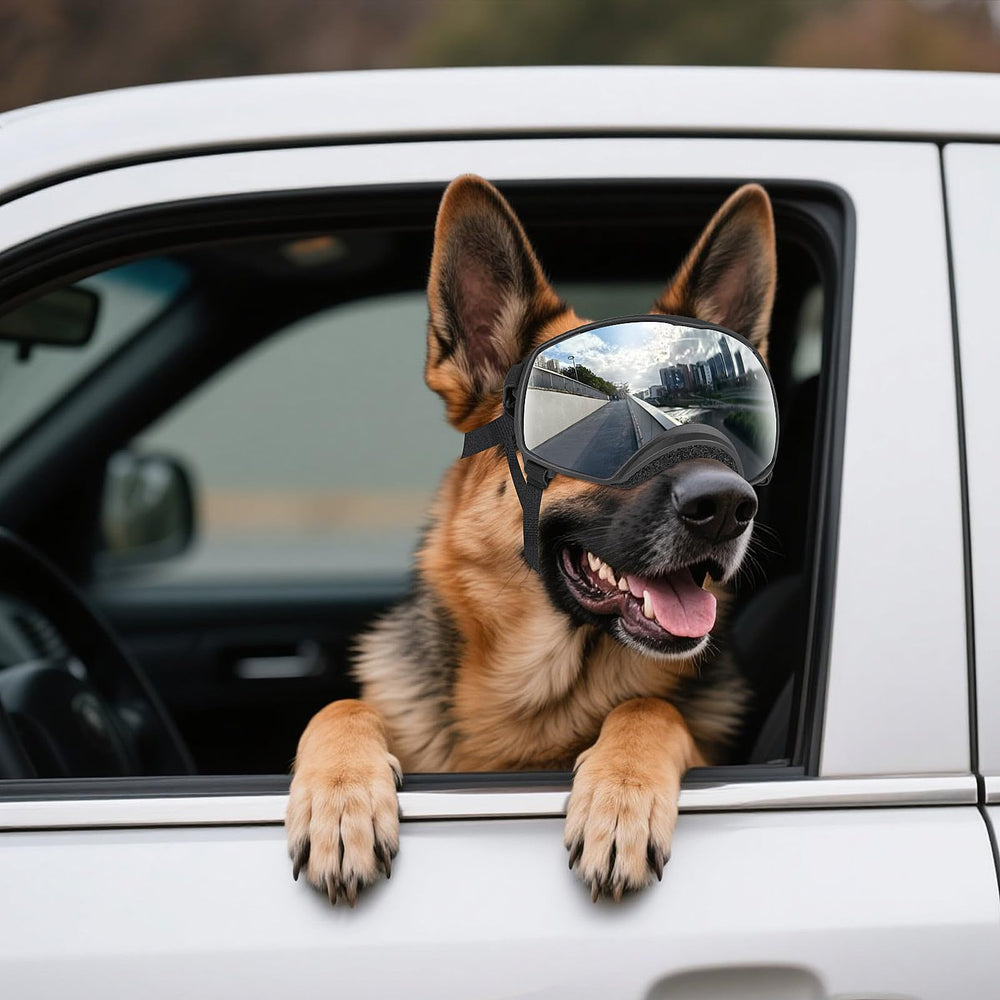 NAMSAN Dog Goggles with soft frame for comfortable wear during outdoor adventures.
