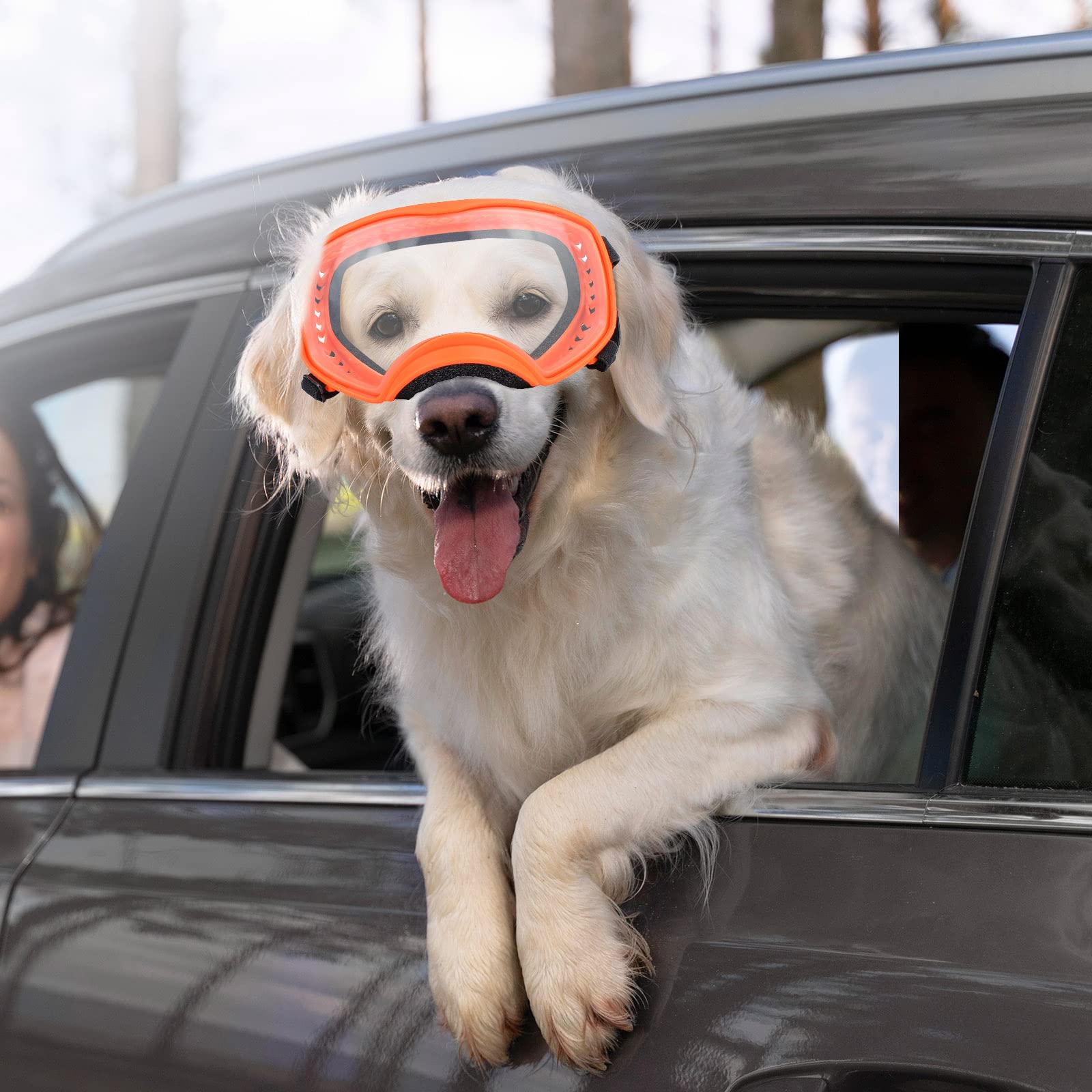 NAMSAN dog goggles soft frame for comfortable wear during walks and outdoor play
