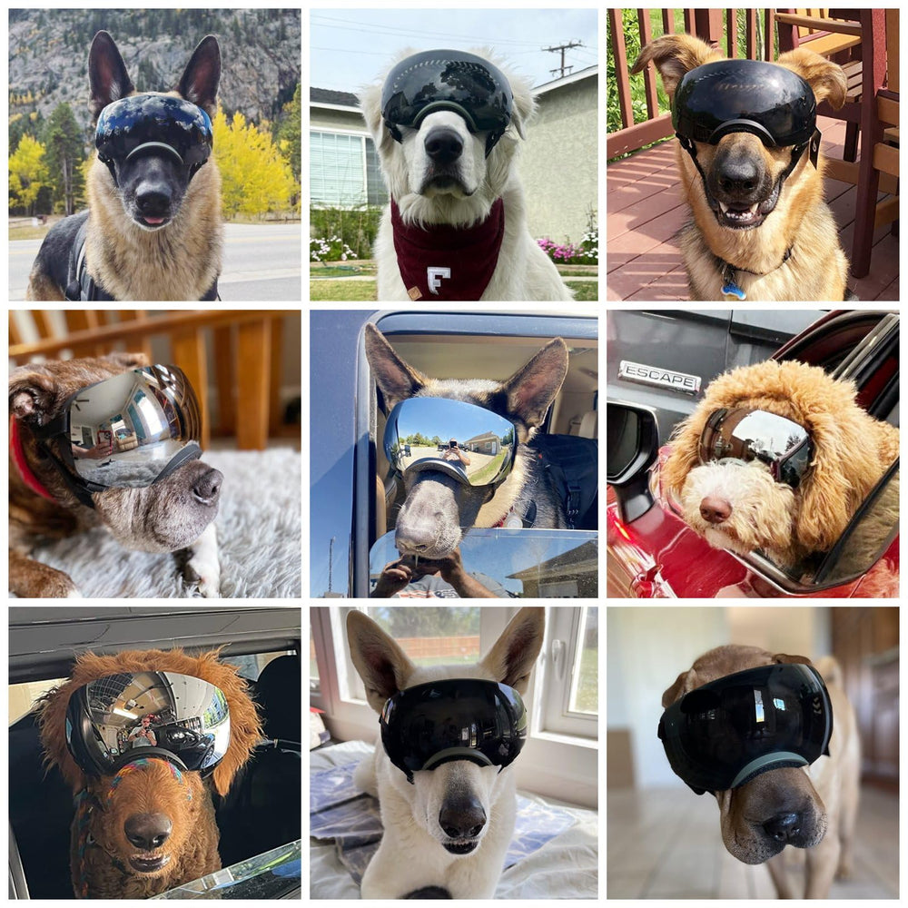 NAMSAN dog goggles soft inner padding enhances comfort during long wear.
