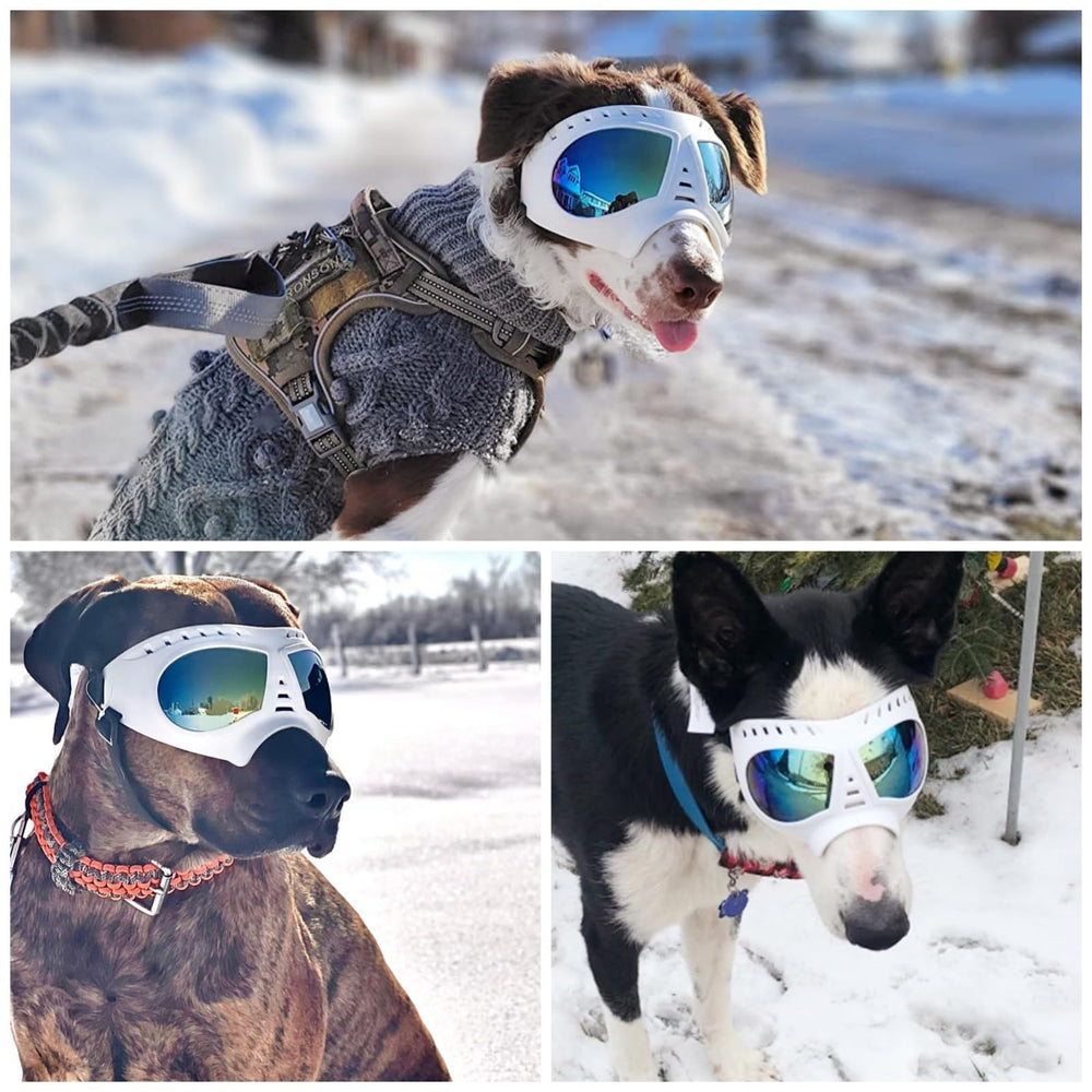 NAMSAN soft TPE frame delivers comfortable wear for active dogs.