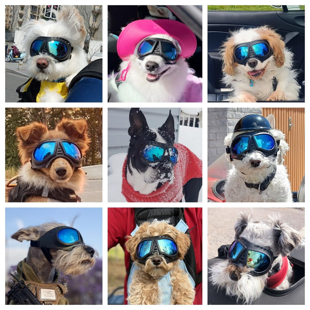 NAMSAN dog goggles soft TPE frame for comfortable wear on long trips