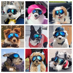 NAMSAN dog goggles soft TPE frame for comfortable wear on long trips
