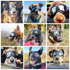 NAMSAN dog goggles soft TPE frame for comfortable all-day wear.