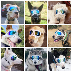 NAMSAN dog goggles with UV-resistant lenses reduce glare for sunny walks and drives.