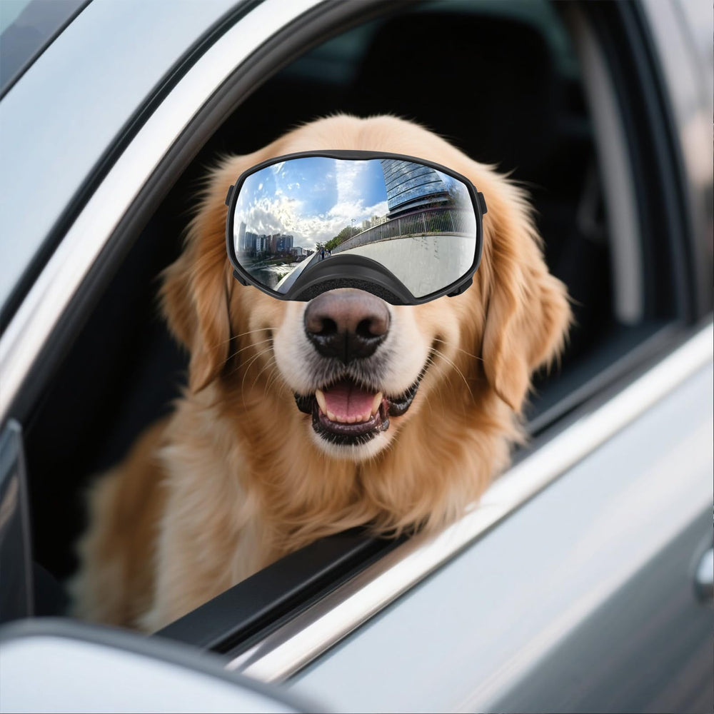 NAMSAN Dog Goggles vent design reduces moisture and overheating on long walks.