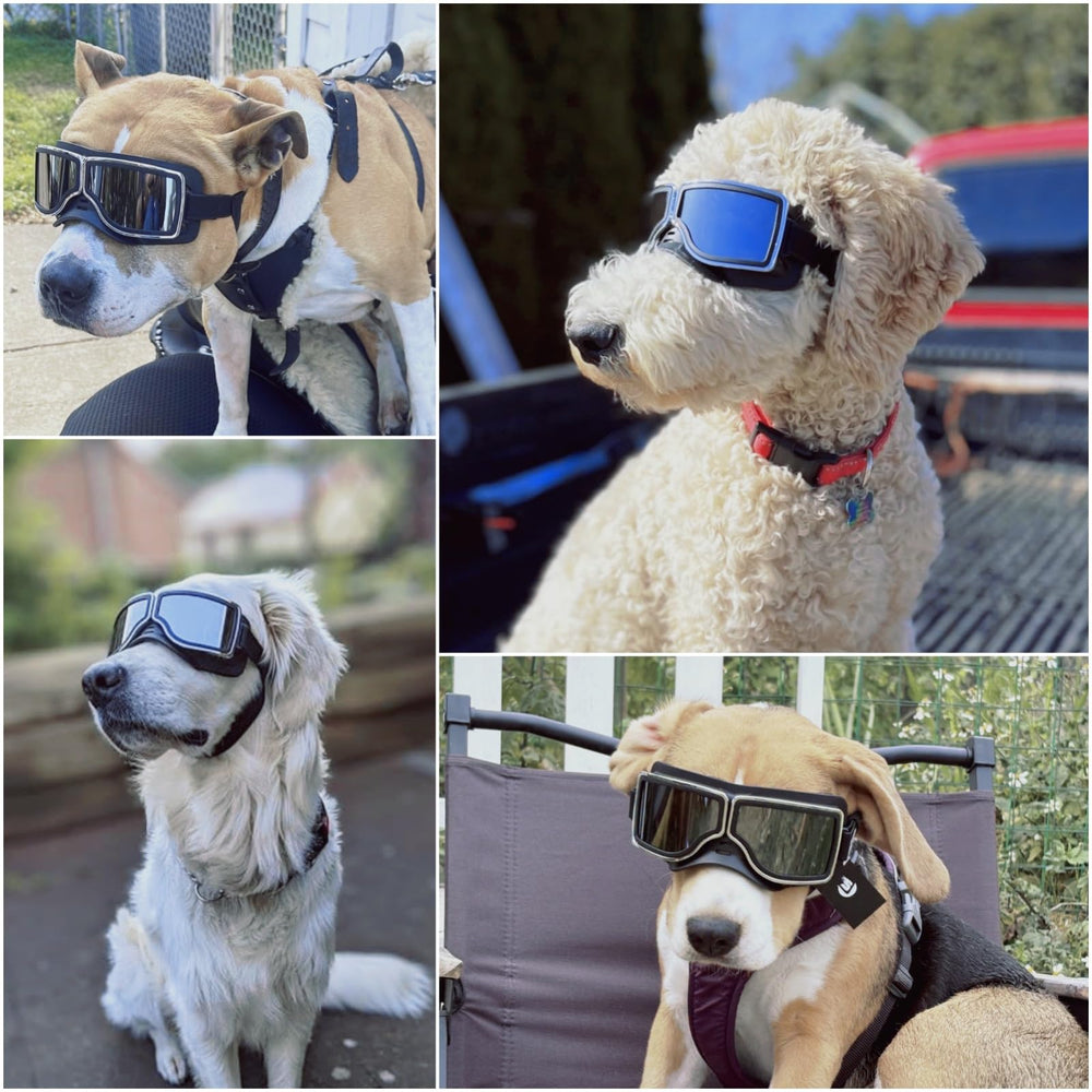 NAMSAN dog goggles wide eyecups prevent rubbing and protect sensitive eyes.