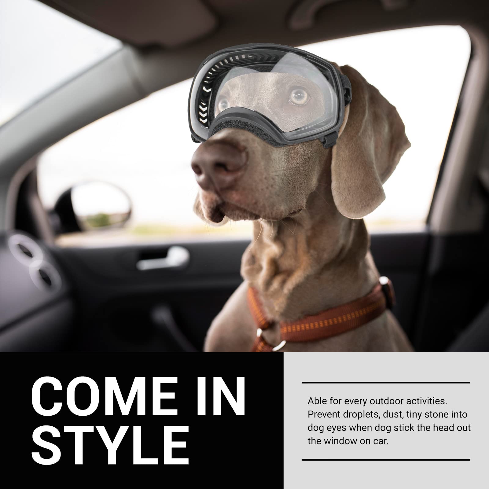 NAMSAN dog goggles windproof design shields eyes on windy rides.