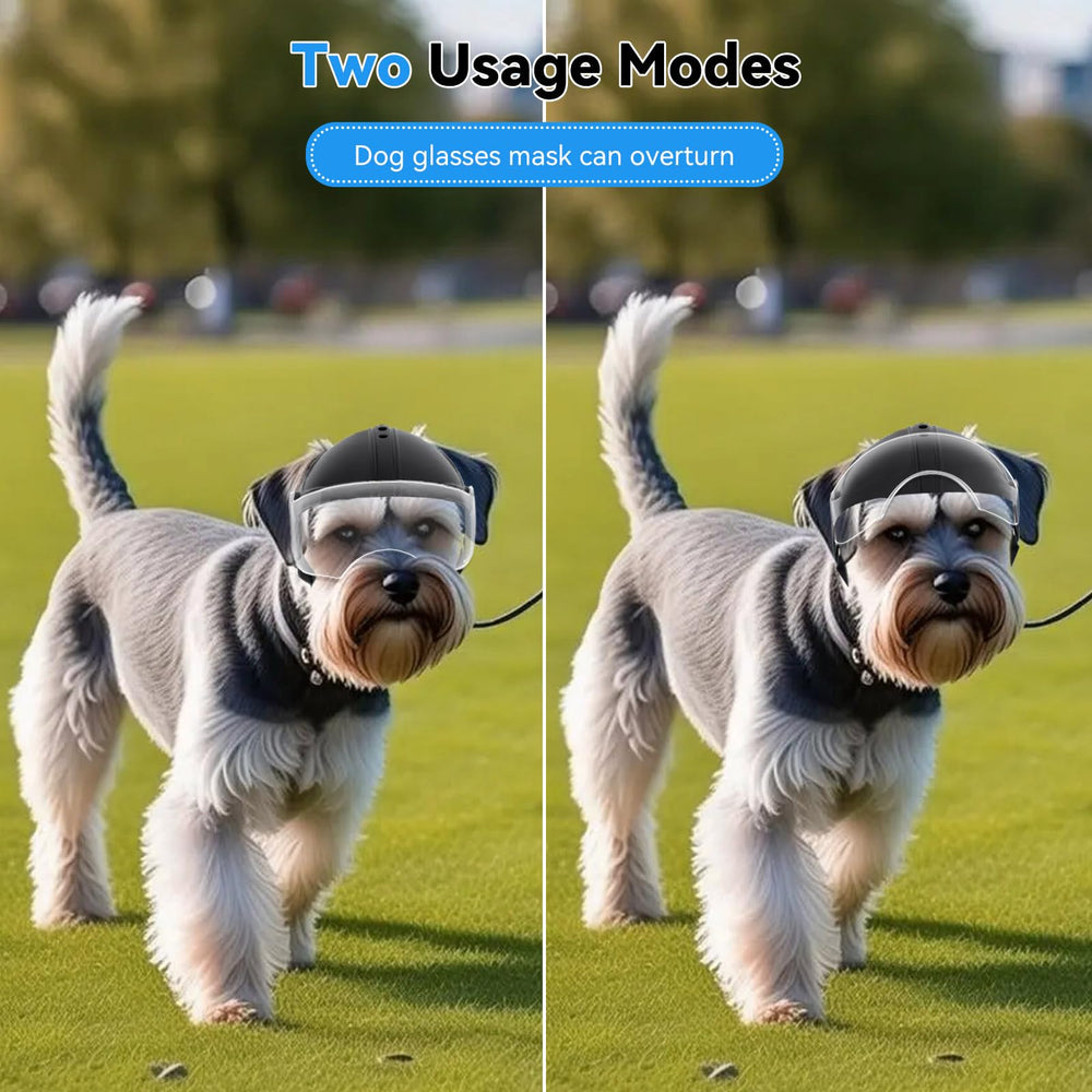 NAMSAN dog helmet adjustable strap ensures secure, comfortable fit.