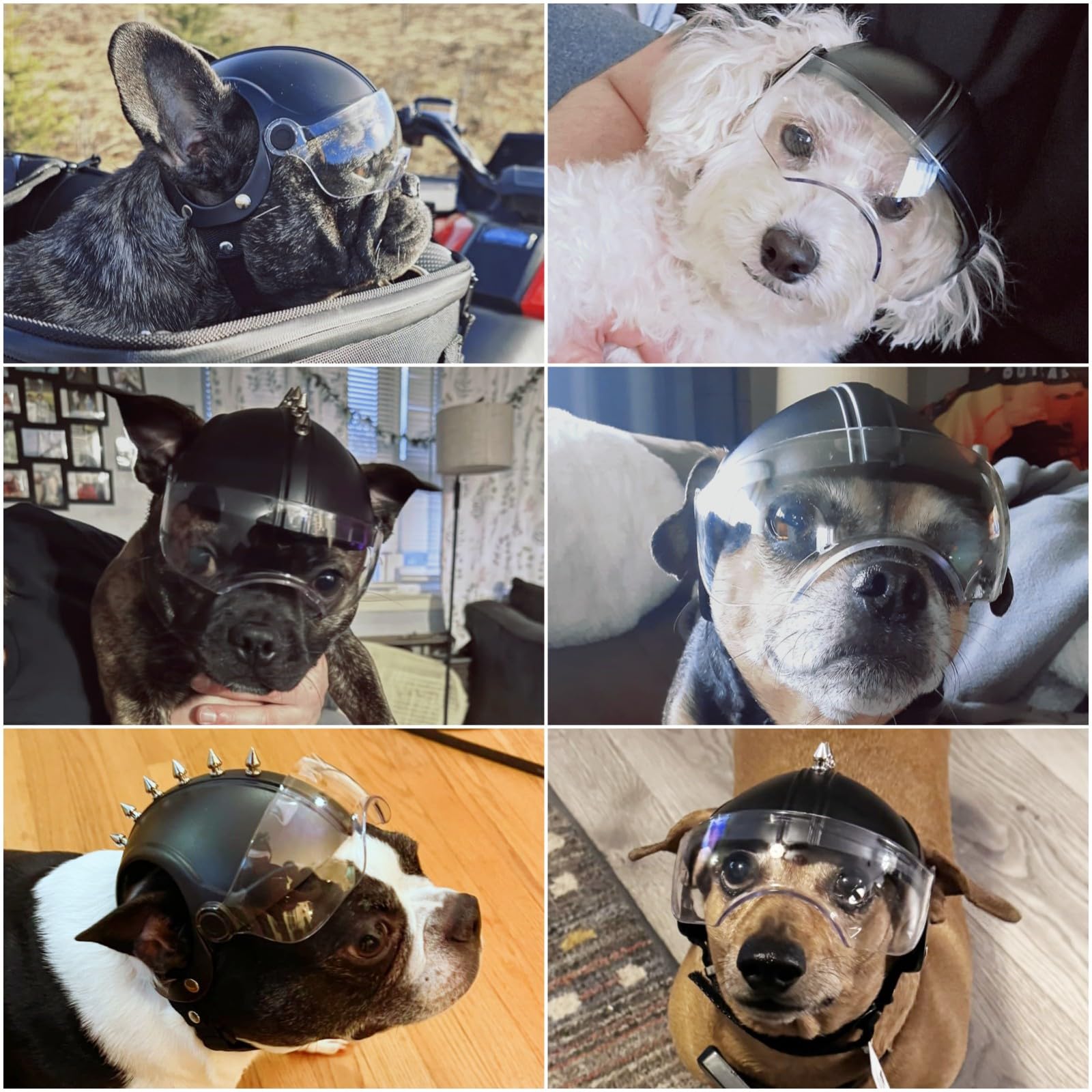NAMSAN dog helmet clear visor demonstrates eye protection during outdoor rides.