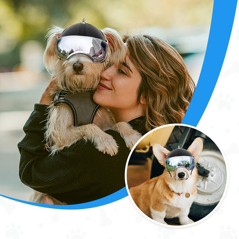 NAMSAN dog helmet ear-hole design keeps ears visible and comfy
