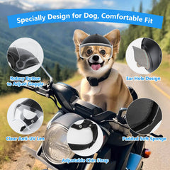 NAMSAN dog helmet ear holes keep ears free for comfort.