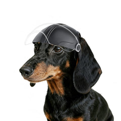 NAMSAN dog helmet front view shows sturdy ABS shell for protection.