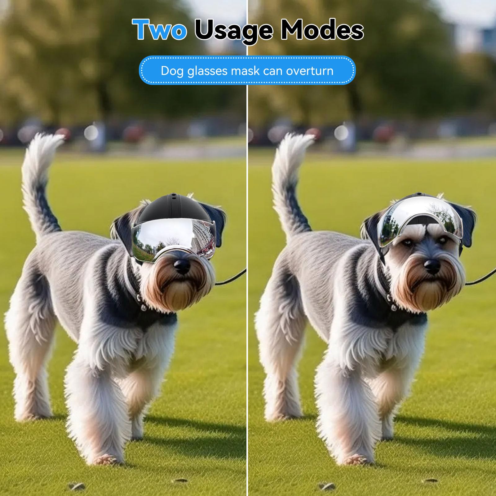 NAMSAN dog helmet includes glasses for UV, wind and debris defense