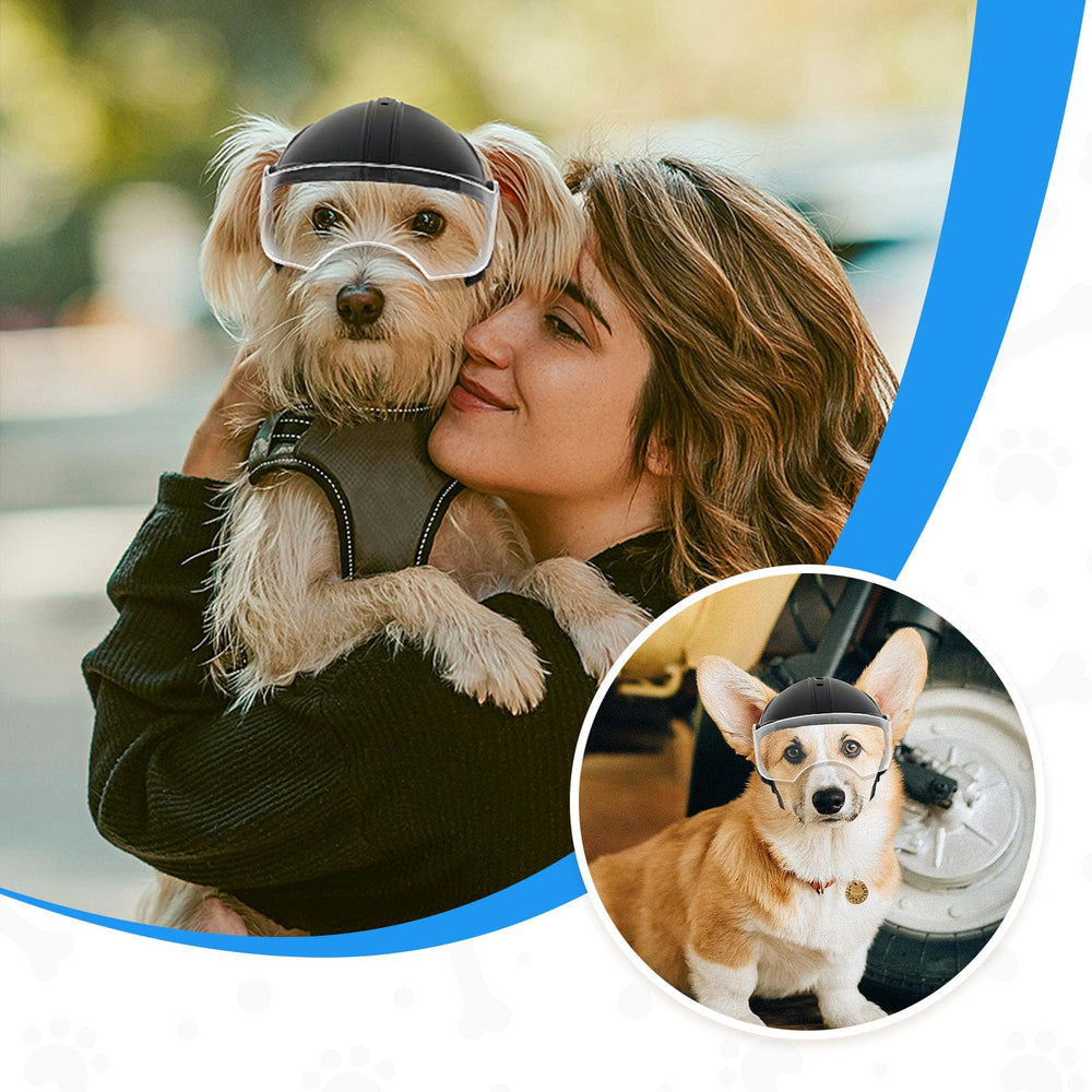 NAMSAN dog helmet outdoor-walk image shows safe walking experiences.