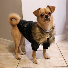 NAMSAN dog jacket fleece lining closeup emphasizes warm comfort