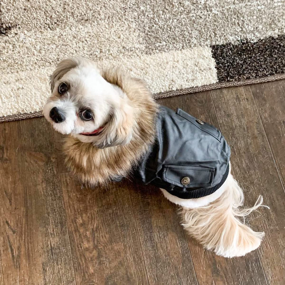 NAMSAN small dog jacket neck detail shows soft fur collar