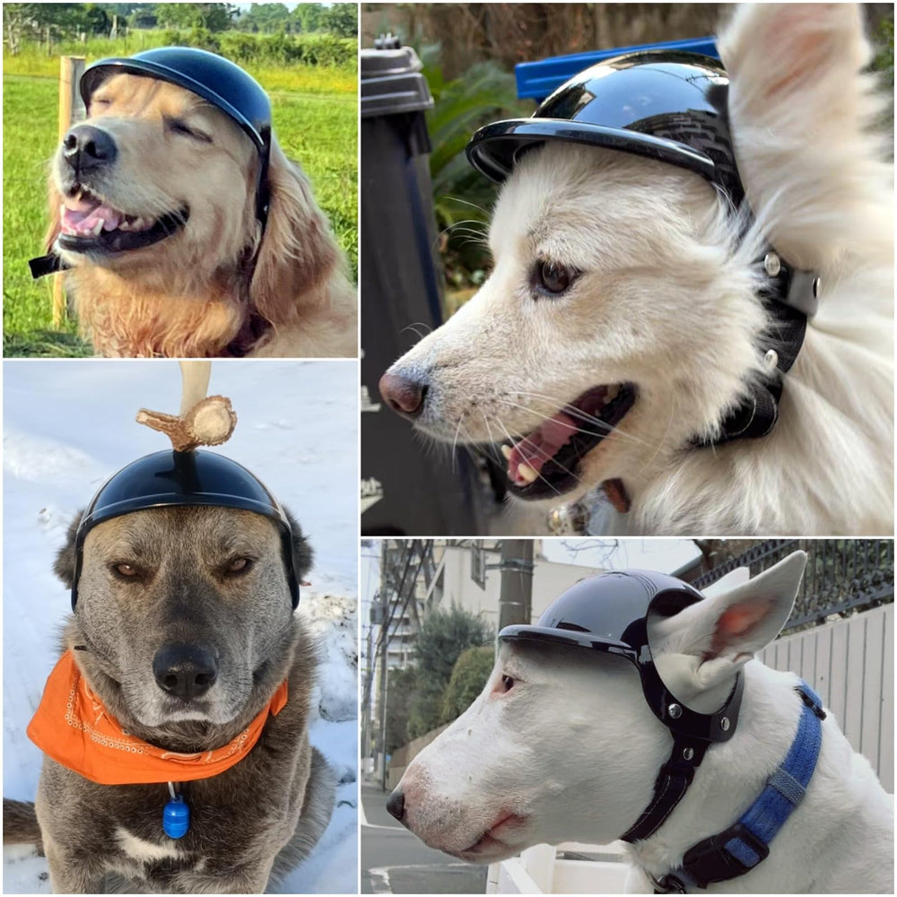 NAMSAN large dog helmet ear holes keep ears free for comfort and communication.