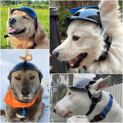 NAMSAN large dog helmet ear holes keep ears free for comfort and communication.