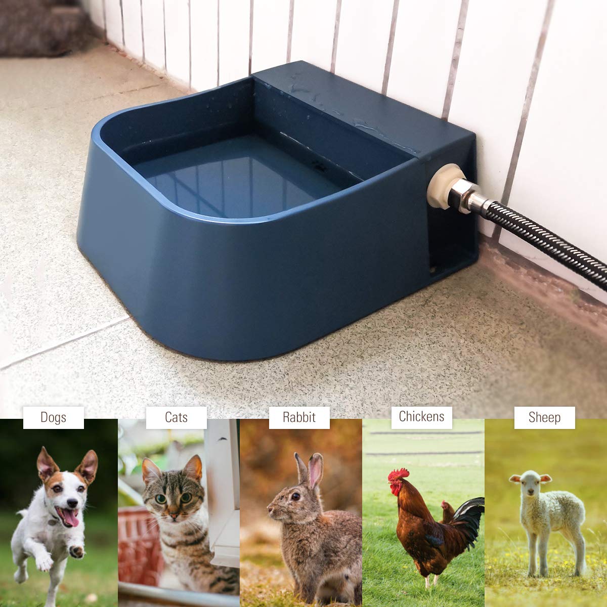 NAMSAN livestock-waterer goat-chicken area demonstrates shared hydration