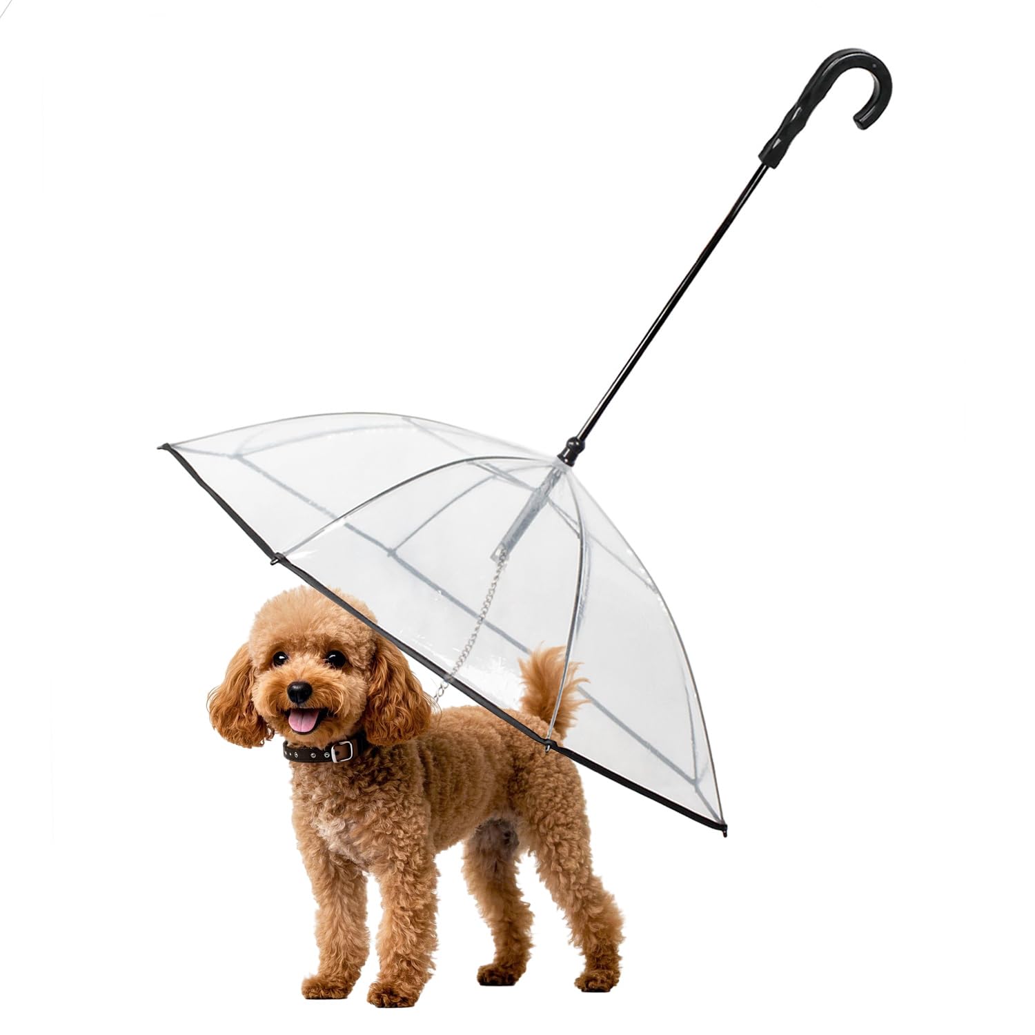 Paraguas para perro pequeño NAMSAN con visera transparente para mayor visibilidad.