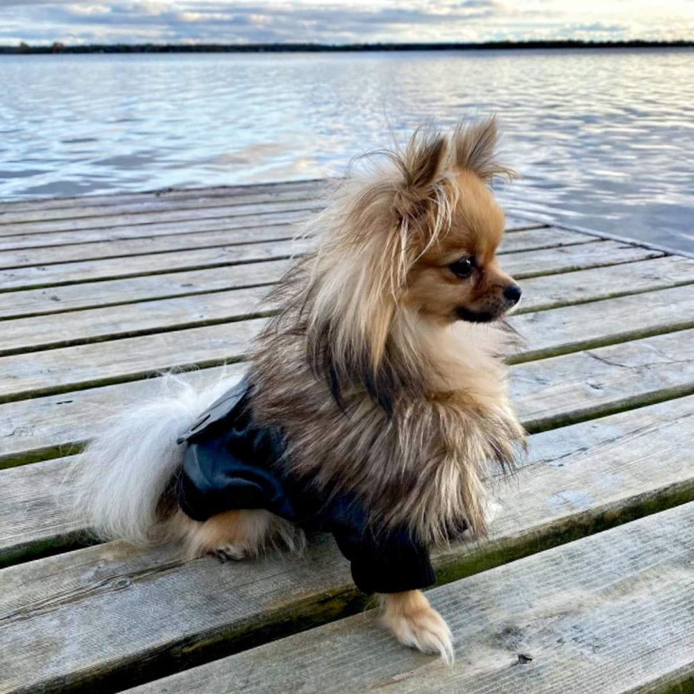 NAMSAN puppy jacket snap-closure close-up demonstrates easy on/off for daily wear.