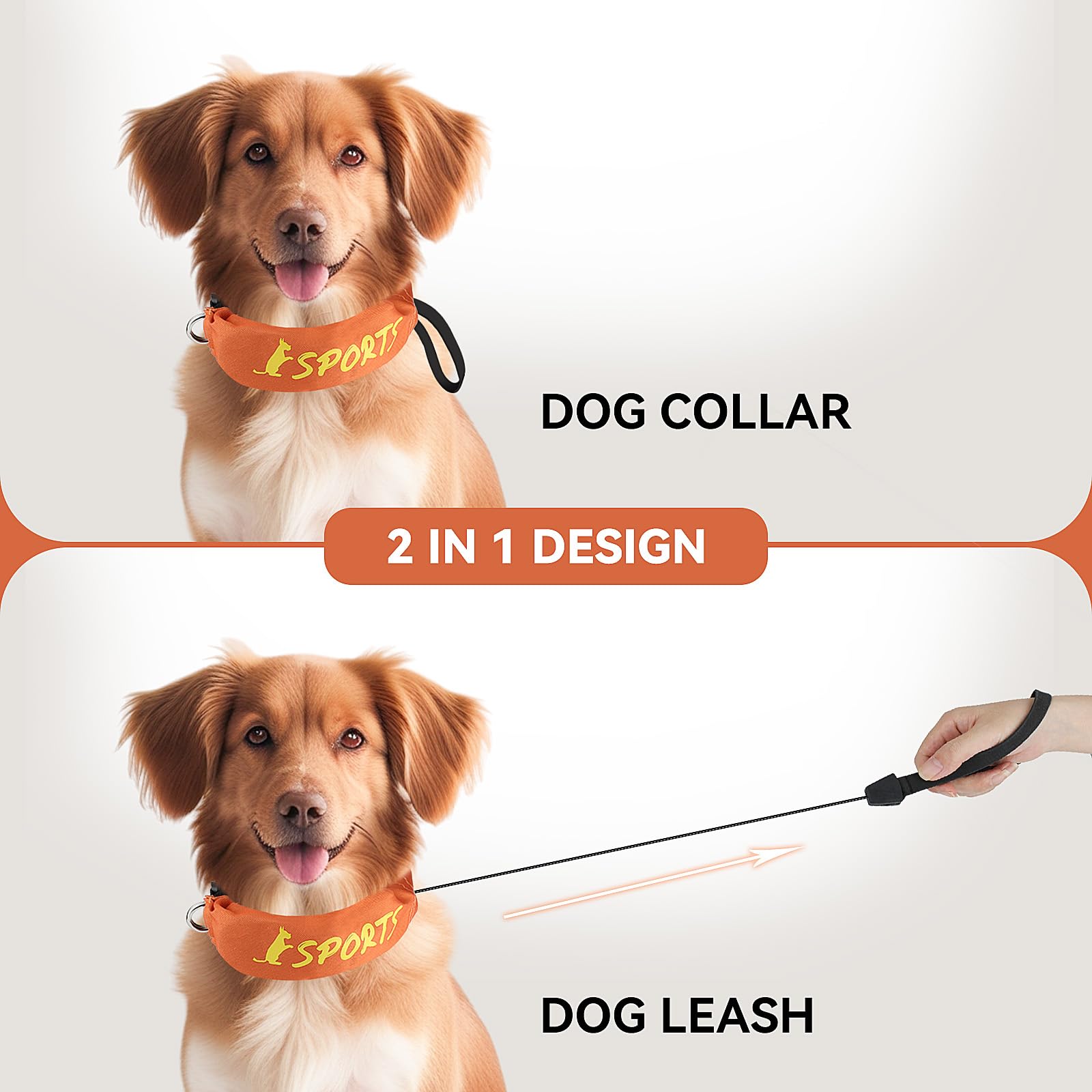 NAMSAN retractable leash collar orange adjustable-fit feature demonstrated