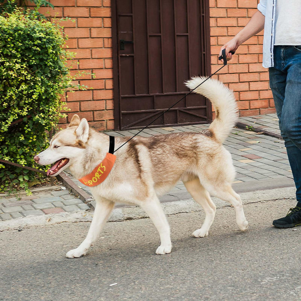 NAMSAN retractable leash collar orange hands-free-walk scenario