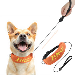 NAMSAN retractable leash collar orange hero image highlights hands-free walking convenience