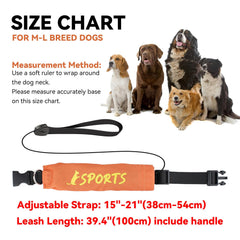 NAMSAN retractable leash collar orange hiking-use image demonstrates controlled leash length