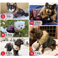 NAMSAN small dog winter coat back view showcasing sleek coverage for chilly outings.