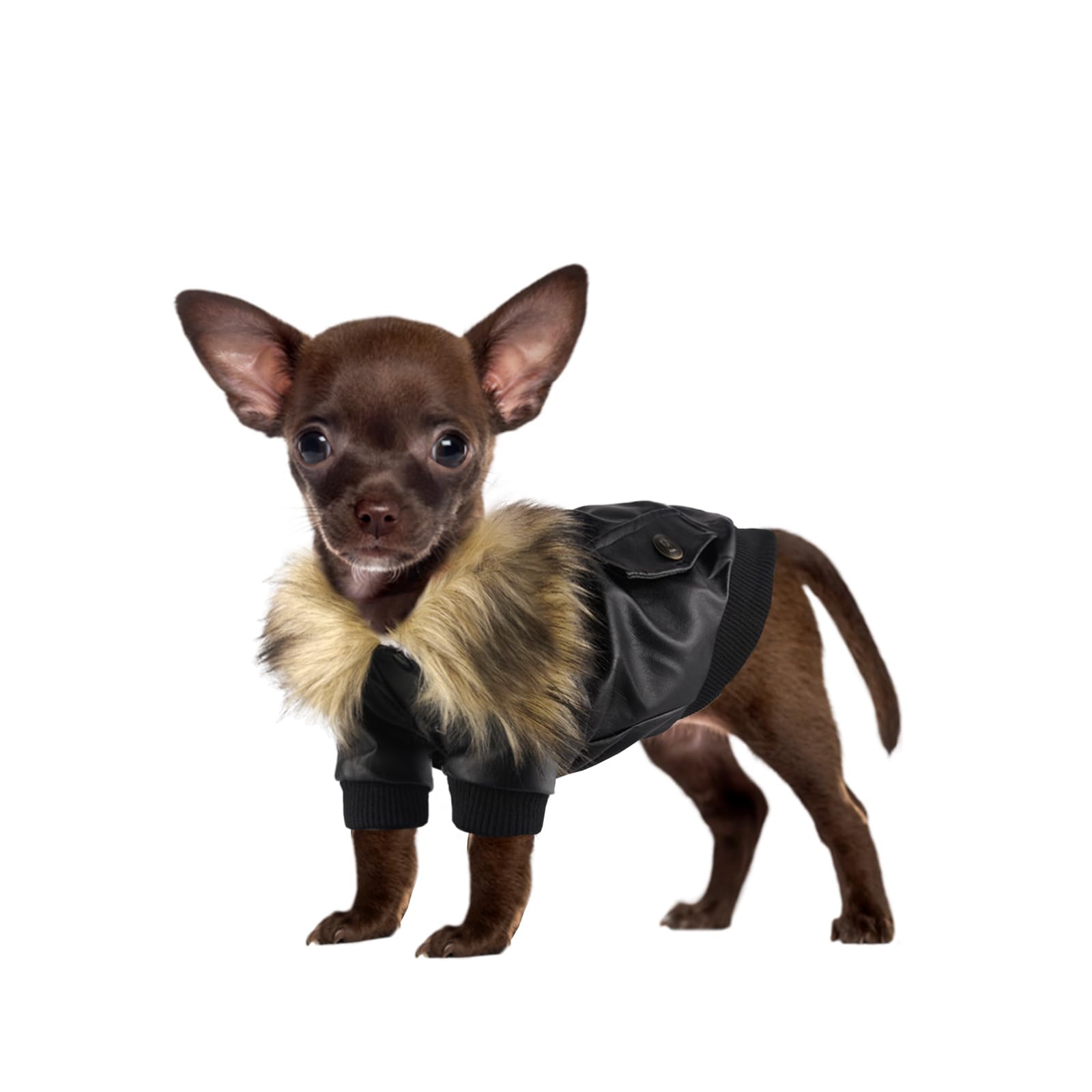 NAMSAN small dog winter coat front view with PU leather exterior for cold-day walks.