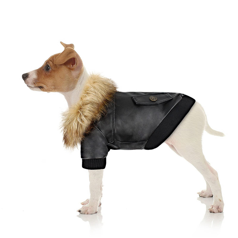 NAMSAN small dog winter coat front view with waterproof PU leather for harsh weather