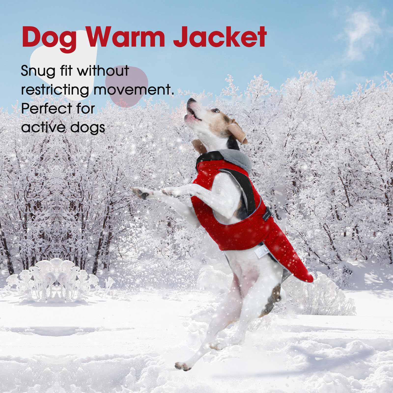 Nanaki 6-size range accommodates breeds from Chihuahuas to larger dogs.