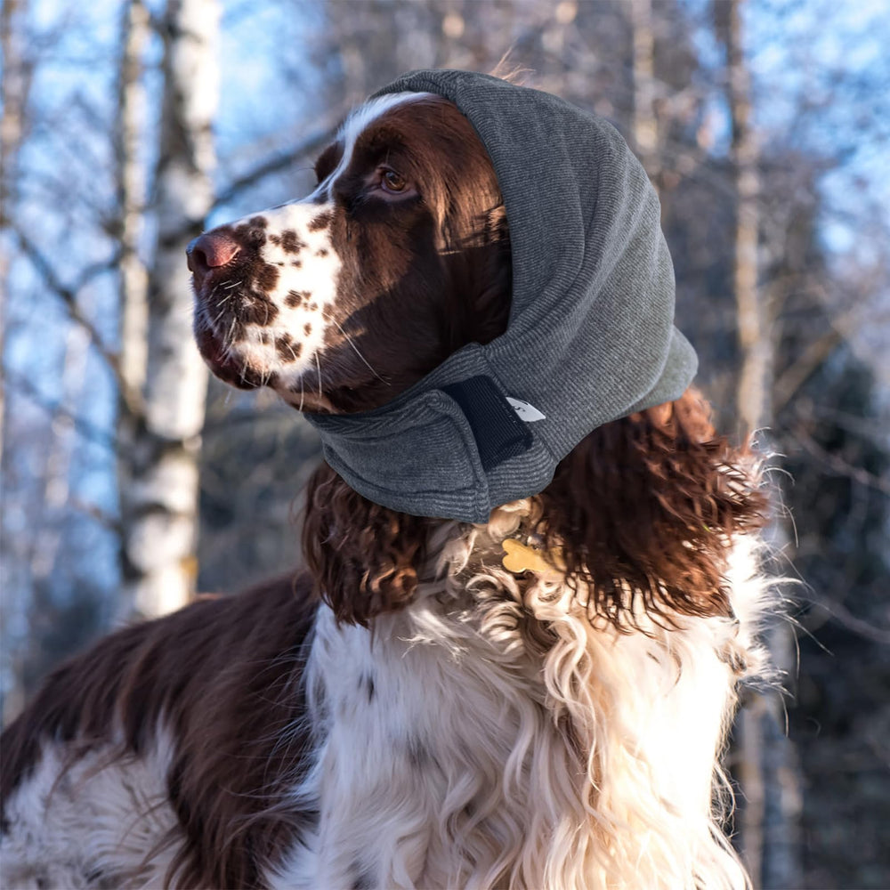 Nanaki calm dog during grooming session with hoodie for comfort