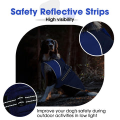 Nanaki coat with leash hole shows secure harness compatibility for safe park outings.