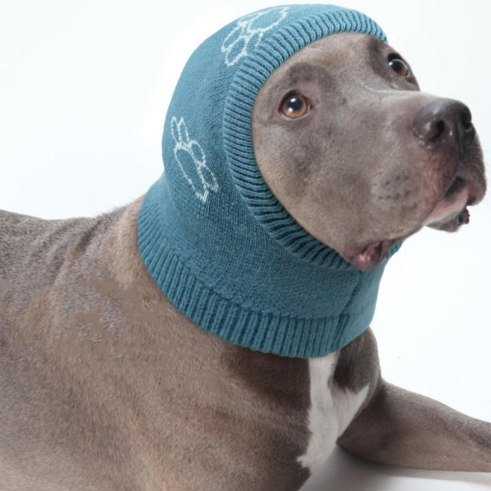 Nanaki calming hoodie on a dog supports relaxed calmness during storms