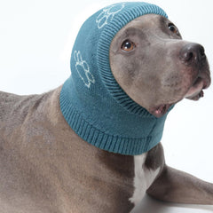 Nanaki calming hoodie on a dog supports relaxed calmness during storms
