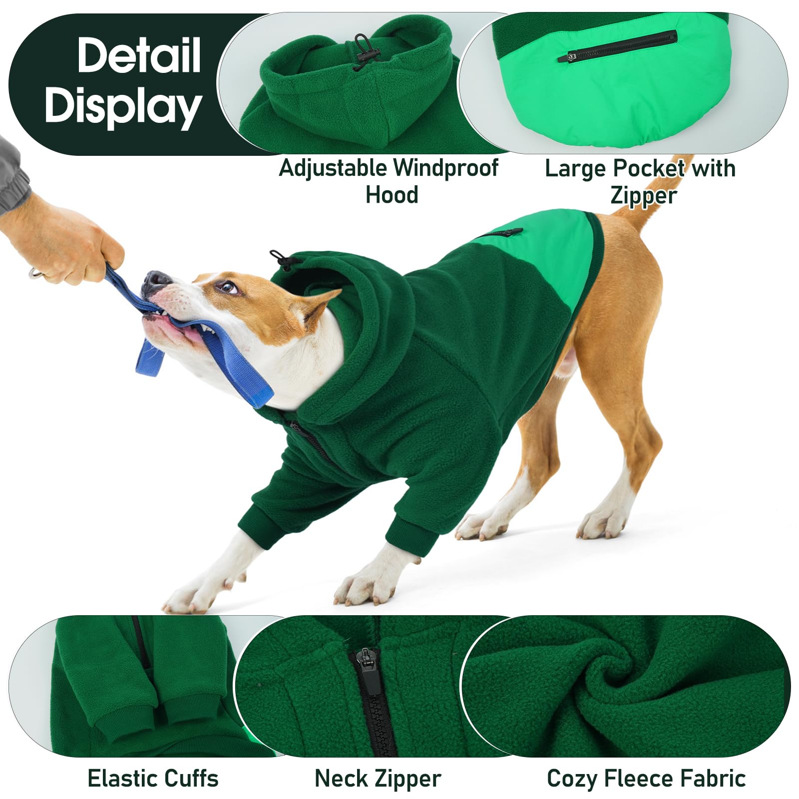 Nanaki Dog Hoodie green holiday styling for Christmas photos