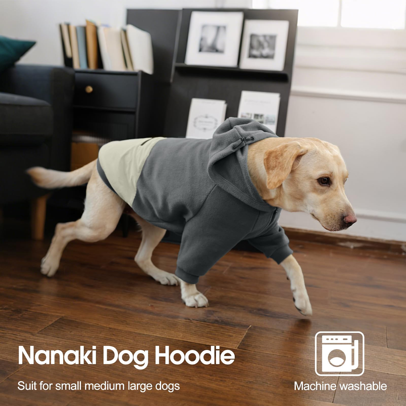 Nanaki dog hoodie worn on dog during walk demonstrates practical outdoor warmth.