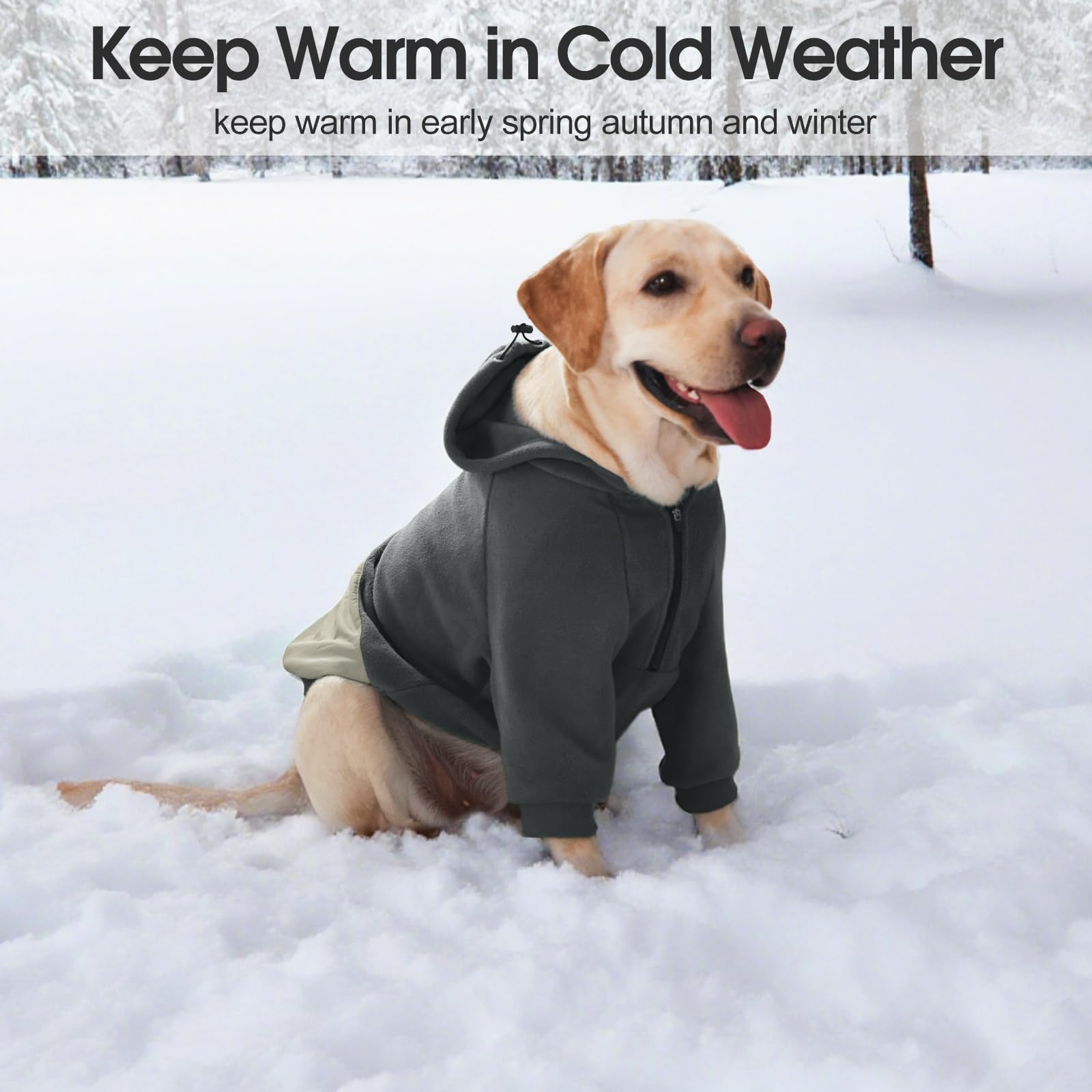 Nanaki dog hoodie zip collar adjustment demonstrates easy on-off with a snug fit.
