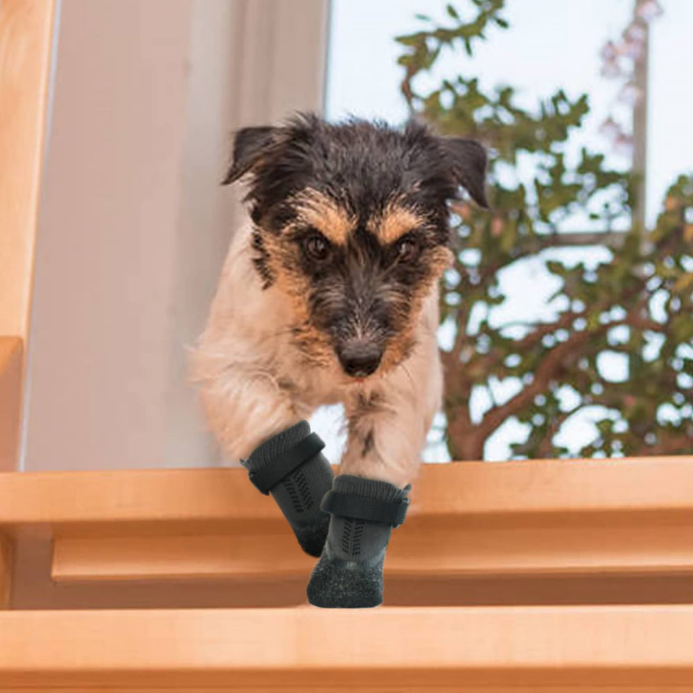 Nanaki paw protection socks help guard paws during walks and post-injury recovery.